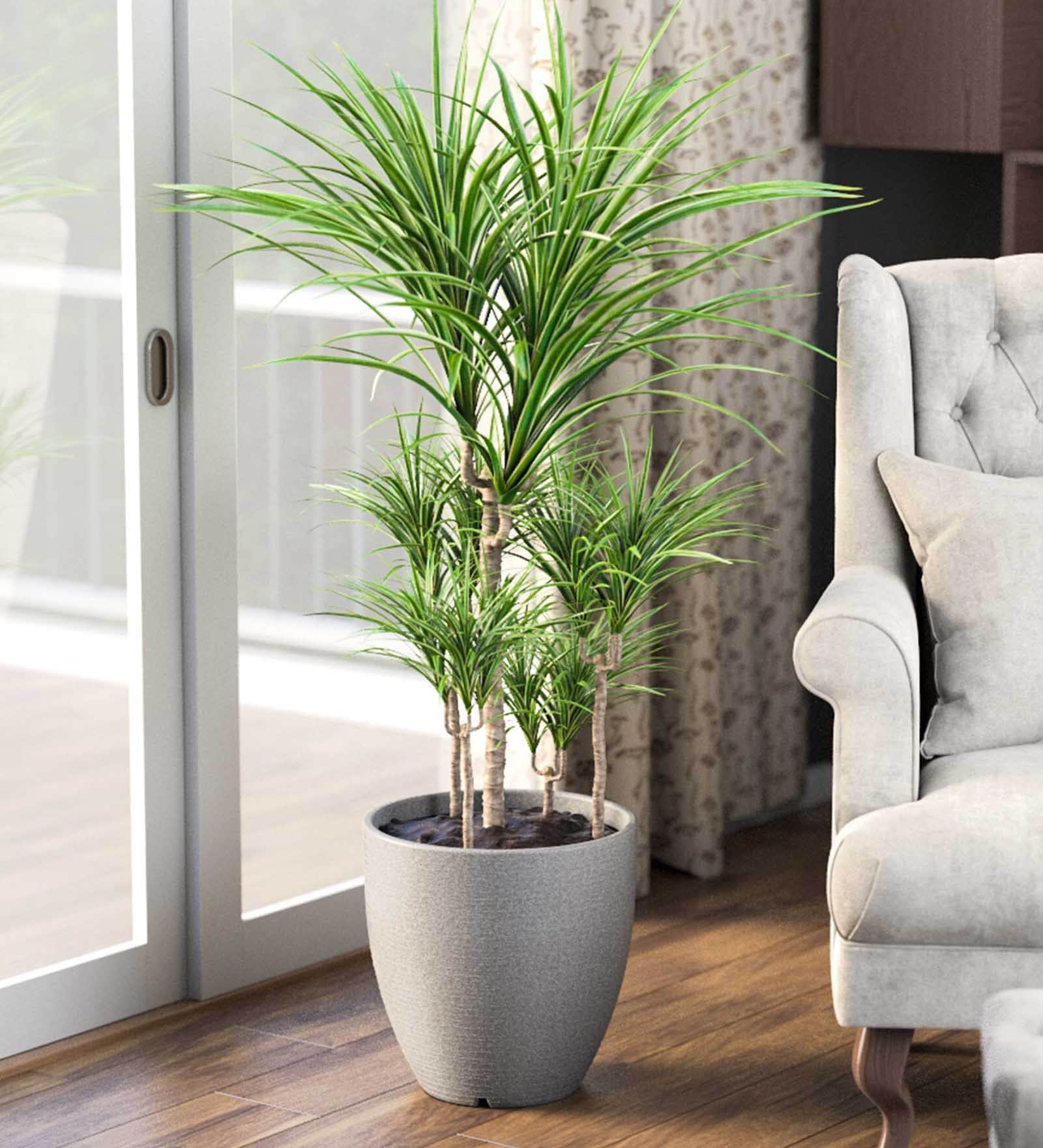 Iraka Medium Sicilian Grey Polymer Floor Planter