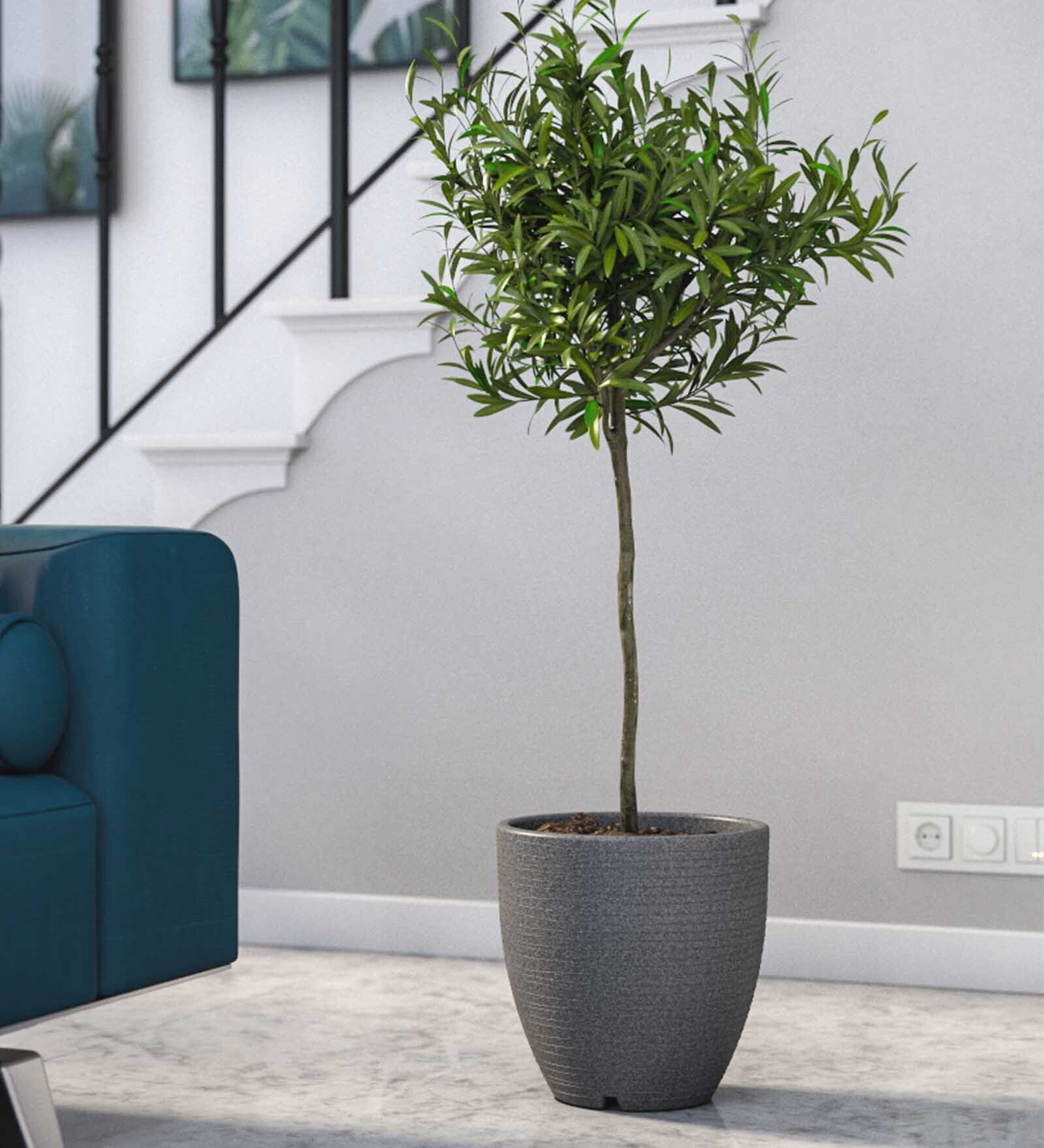 Iraka Small Grey Polymer Floor
Planter
