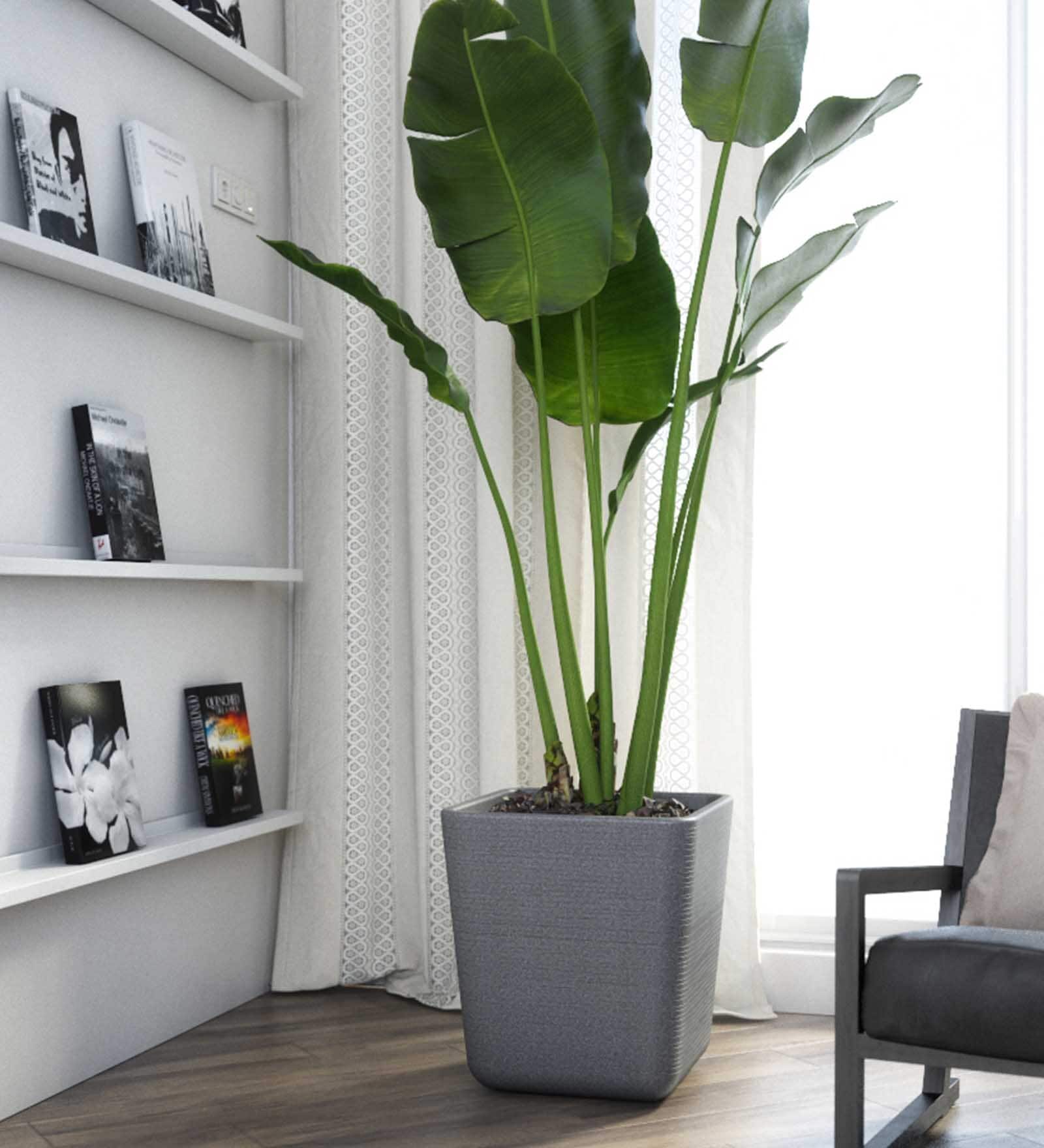 Sicilian Grey Polymer Toyo  Big Planter