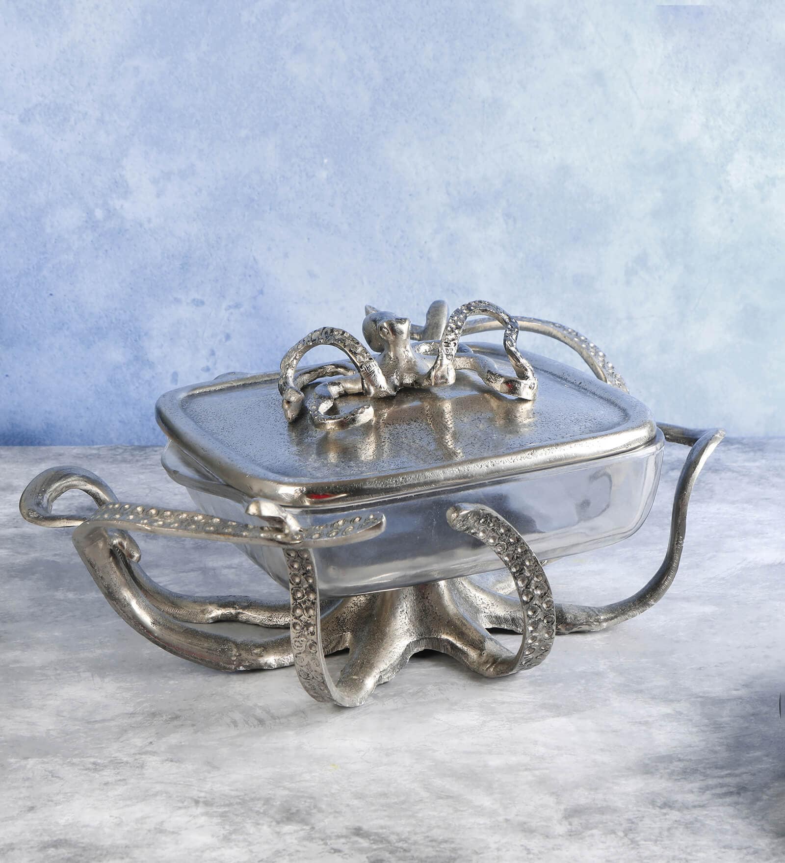 Silver Glass  & Aluminium 12 Inch Appetizer Platters