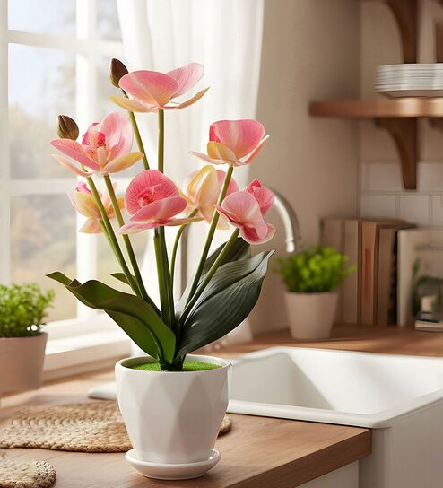 Silk Fabric Orchid Radiance Arrangement Pot With Flower