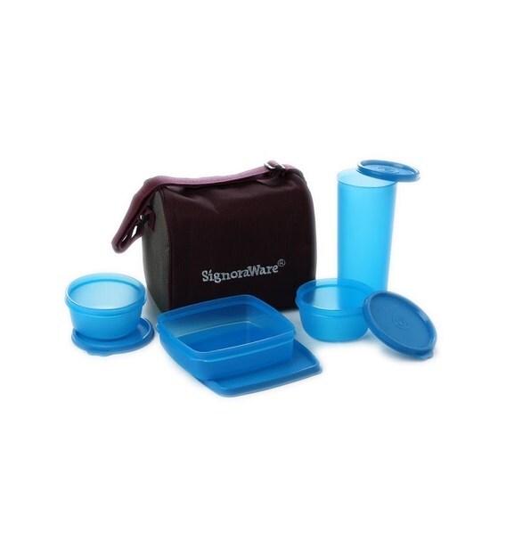 online shopping lunch box with bag