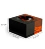 Black And Orange Sia Ashtray