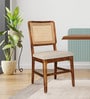 Siam Natural Cane Dining Chair in Walnut Colour, (Set Of 2)