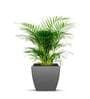 Sicilian Grey Polymer Fabi Small Floor Planter