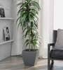 Sicilian Grey Polymer Fabi Small Floor Planter