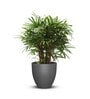 Sicilian Iraka Large Grey Polymer Floor Planter