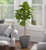 Sicilian Iraka Large Grey Polymer Floor Planter