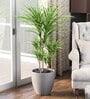 Iraka Medium Sicilian Grey Polymer Floor Planter