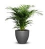 Iraka Medium Sicilian Grey Polymer Floor Planter