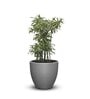 Iraka Small Grey Polymer Floor
Planter