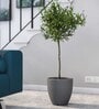 Iraka Small Grey Polymer Floor
Planter
