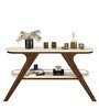Doris Console Table in Rustic Terra & Off White Finish