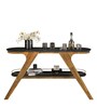 Doris Console Table in Oak Nobel Finish