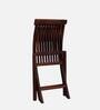 Siegen Sheesham Wood Folding Chair in Honey Oak Finish (Set of 2)