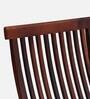 Siegen Sheesham Wood Folding Chair in Honey Oak Finish (Set of 2)