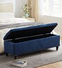 Siena Fabric Tufted Storage Ottoman Ottoman in Blue Colour
