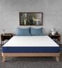 Siesta 8 Inch Memory Foam Orthopedic Queen Size Mattress