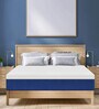 Siesta Orthopedic 8 inch Latex Queen Size Mattress