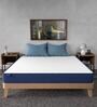 Siesta Orthopedic 8 Inch Memory Foam Mattress In Single Size