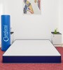 Siesta Orthopedic 8 Inch Pocket Spring Mattress In King Size