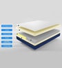 Siesta Orthopedic 8 Inch Pocket Spring Mattress In King Size