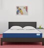 Siesta Orthopedic 8 Inch Pocket Spring Mattress In King Size
