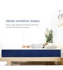 Siesta Orthopedic 5 Inch HD & Soft Foam Mattress In Single Size