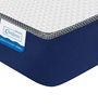 Siesta Orthopedic 8 Inch Pocket Spring Mattress In Single Size