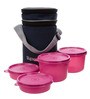 Signoraware Executive Lunch Box w Bag, Pink, Set of 4