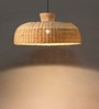 Sihadi Handcrafted Rattan/Wicker Pendant Lamp Hanging Light for Living Room Dining Room Natural