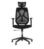 Sila High Back Ergonomic Chair In Black Colour