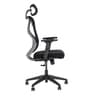 Sila High Back Ergonomic Chair In Black Colour