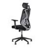 Sila High Back Ergonomic Chair In Black Colour