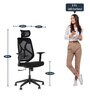 Sila High Back Ergonomic Chair In Black Colour