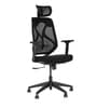 Sila High Back Ergonomic Chair In Black Colour
