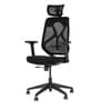 Sila High Back Ergonomic Chair In Black Colour
