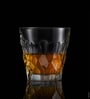 Silex Transparent Glass ( Set of 6 ) Tumbler Glass