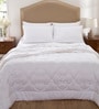 White 100% Cotton 250 AC Room Double Bed Duvet Insert