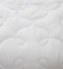 White 100% Cotton 250 AC Room Double Bed Duvet Insert