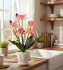 Silk Fabric Orchid Radiance Arrangement Pot With Flower