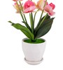 Silk Fabric Orchid Radiance Arrangement Pot With Flower