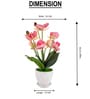 Silk Fabric Orchid Radiance Arrangement Pot With Flower