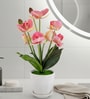 Silk Fabric Orchid Radiance Arrangement Pot With Flower