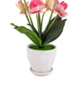 Silk Fabric Orchid Radiance Arrangement Pot With Flower