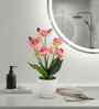Silk Fabric Orchid Radiance Arrangement Pot With Flower