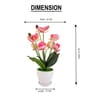 Silk Fabric Orchid Radiance Arrangement Pot With Flower