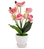 Silk Fabric Orchid Radiance Arrangement Pot With Flower