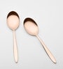 (Set Of 2) Silver Luxe 304 Food Grade Stainless Steel Silver Rose Gold Serving Spoon