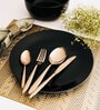 (Set Of 6) Silver Luxe 304 Food Grade Stainless Steel Silver Rose Gold Spoon